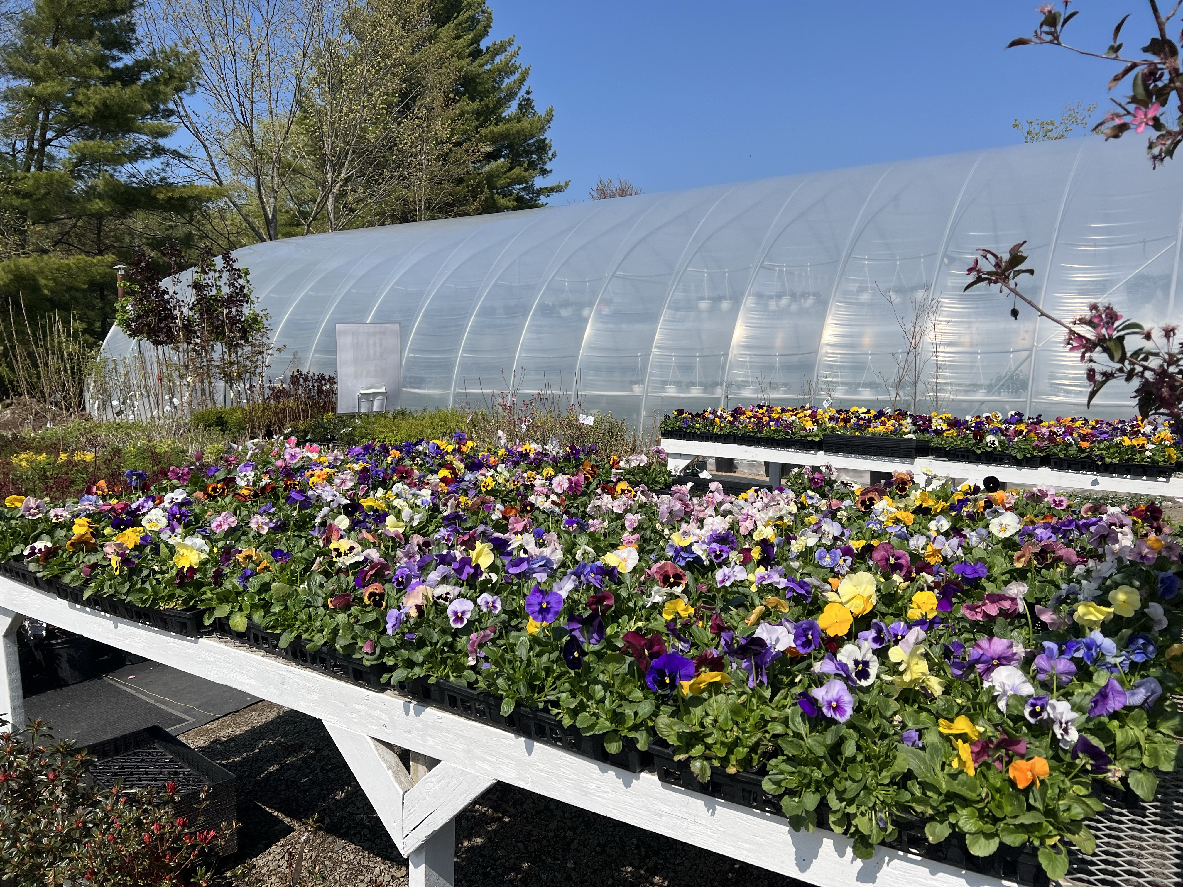 Top 5 Garden Centres in the Annapolis Valley