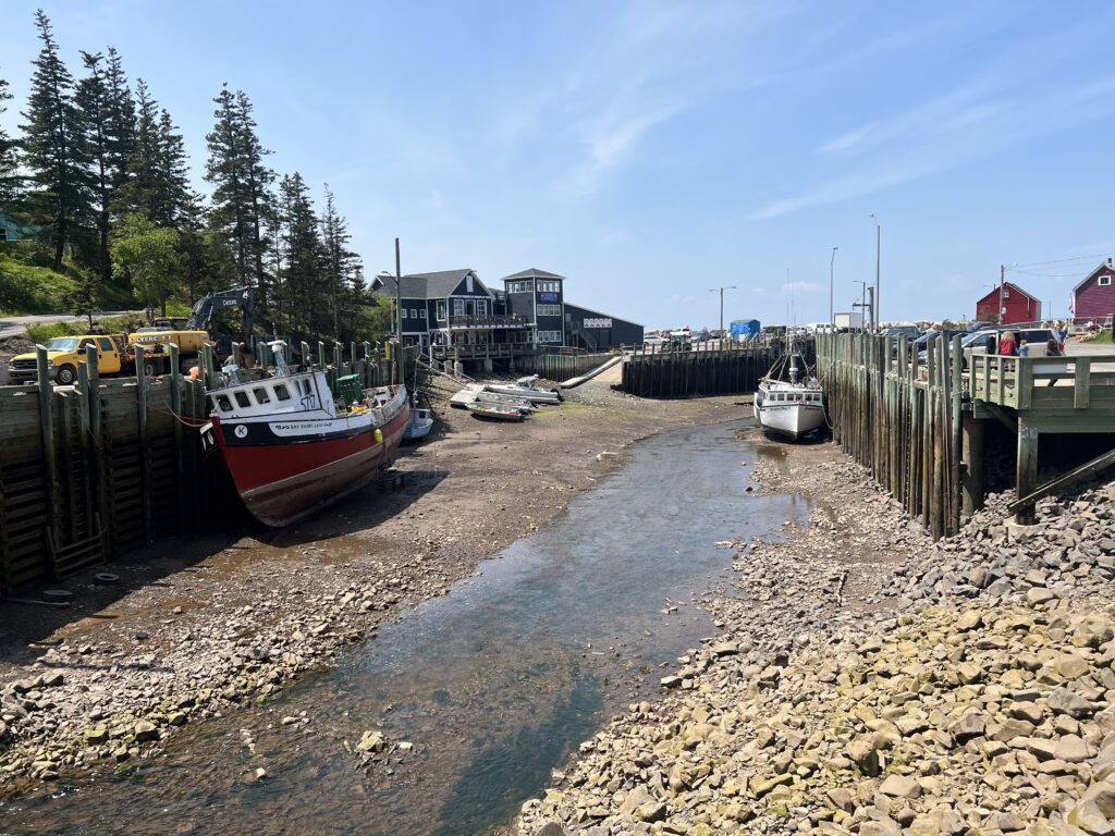 Low Tide - Hall's Harbour 