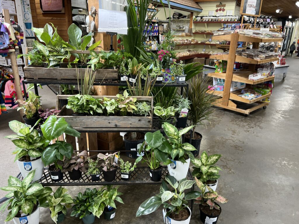 Hennigar's Farm Market